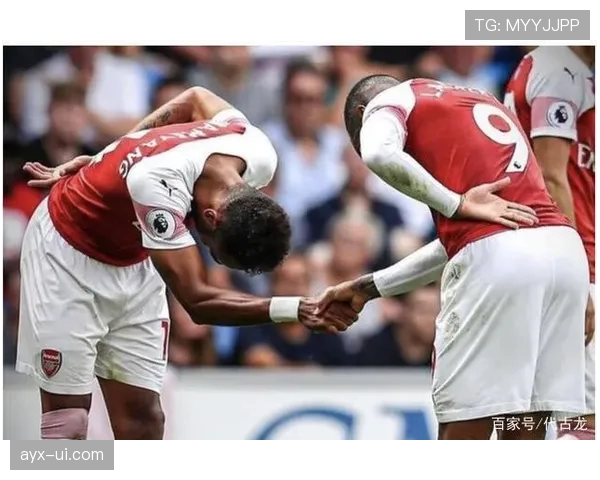 阿尔巴强调团队凝聚力,全力冲刺新赛季更高目标