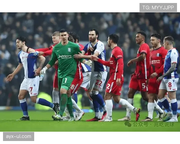 布莱顿在英超赛场表现稳健,持续书写辉煌篇章 布莱顿在英超赛场表现稳健,持续书写辉煌篇章